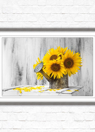 Sunflowers printed in frame rustic watering can. Framed picture with choice of frame colours frame included