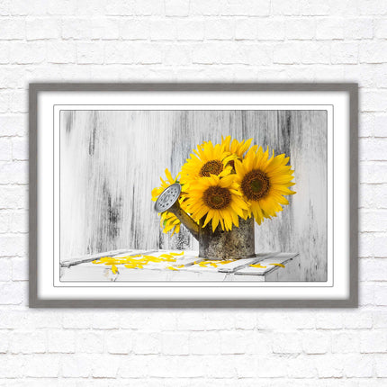 Sunflowers printed in frame rustic watering can. Framed picture with choice of frame colours frame included