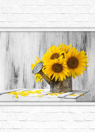 Sunflowers printed in frame rustic watering can. Framed picture with choice of frame colours frame included