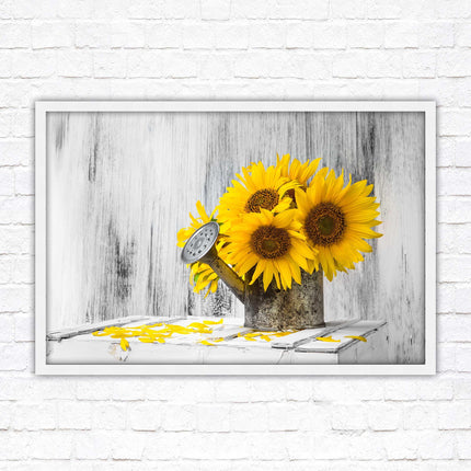Sunflowers printed in frame rustic watering can. Framed picture with choice of frame colours frame included