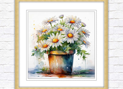 Daisies. Framed picture print. Pretty potted daisies. Framed wall art. A choice of frames and sizes, square.