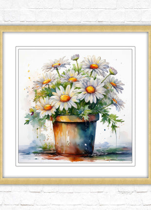 Daisies. Framed picture print. Pretty potted daisies. Framed wall art. A choice of frames and sizes, square.