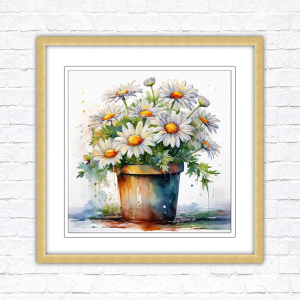 Daisies. Framed picture print. Pretty potted daisies. Framed wall art. A choice of frames and sizes, square.