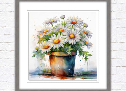 Daisies. Framed picture print. Pretty potted daisies. Framed wall art. A choice of frames and sizes, square.