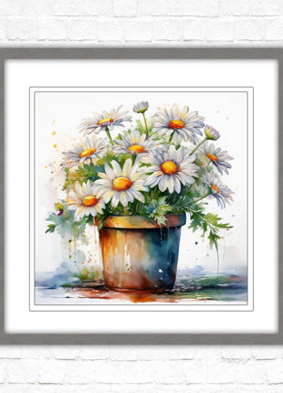 Daisies. Framed picture print. Pretty potted daisies. Framed wall art. A choice of frames and sizes, square.