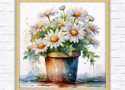 Daisies. Framed picture print. Pretty potted daisies. Framed wall art. A choice of frames and sizes, square.