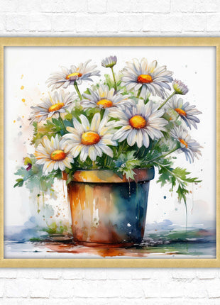 Daisies. Framed picture print. Pretty potted daisies. Framed wall art. A choice of frames and sizes, square.