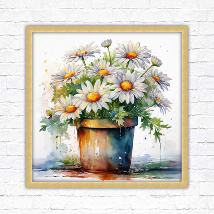 Daisies. Framed picture print. Pretty potted daisies. Framed wall art. A choice of frames and sizes, square.