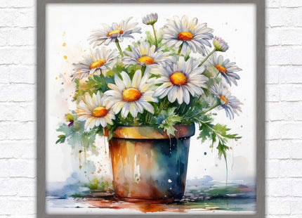 Daisies. Framed picture print. Pretty potted daisies. Framed wall art. A choice of frames and sizes, square.