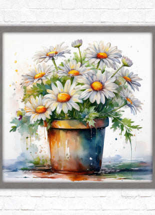 Daisies. Framed picture print. Pretty potted daisies. Framed wall art. A choice of frames and sizes, square.