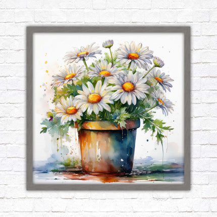 Daisies. Framed picture print. Pretty potted daisies. Framed wall art. A choice of frames and sizes, square.