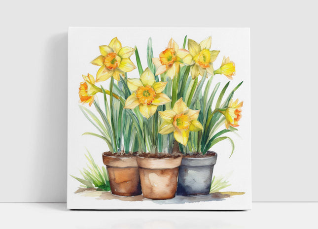 Daffodils canvas picture. Image printed and finished as a canvas picture. Watercolour potted daffodils. Choice of sizes available Wall Art.