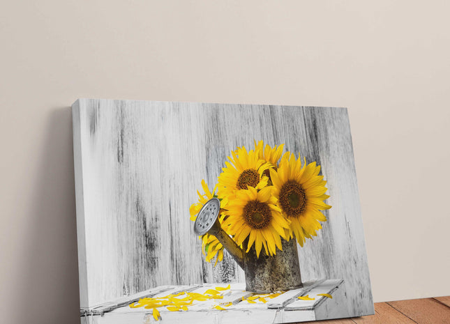 Canvas picture of Sunflowers in Vintage watering can. Printed and framed as a Canvas picture print. Ideal Mothers Day/birthday gift.