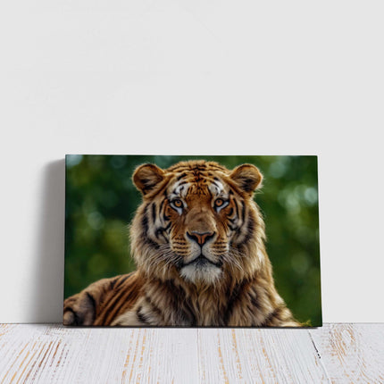 Tiger, Canvas picture print. Wildlife image wall art, landscape.