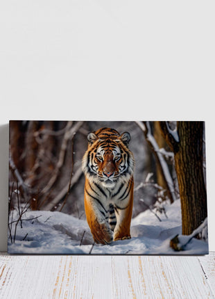 Canvas picture. Tiger in snow covered forest. Stunning majestic Wildlife image. Canvas picture print, landscape.