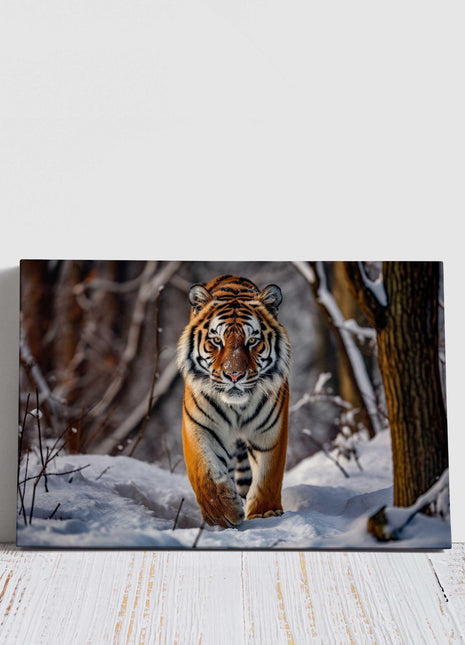 Canvas picture. Tiger in snow covered forest. Stunning majestic Wildlife image. Canvas picture print, landscape.