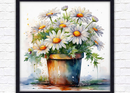 Daisies. Framed picture print. Pretty potted daisies. Framed wall art. A choice of frames and sizes, square.