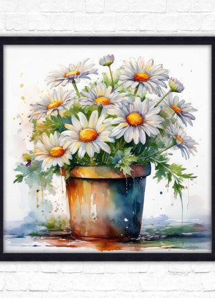 Daisies. Framed picture print. Pretty potted daisies. Framed wall art. A choice of frames and sizes, square.