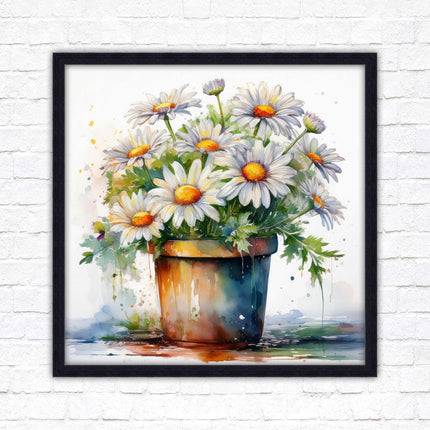Daisies. Framed picture print. Pretty potted daisies. Framed wall art. A choice of frames and sizes, square.