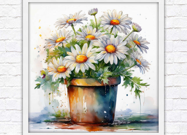 Daisies. Framed picture print. Pretty potted daisies. Framed wall art. A choice of frames and sizes, square.