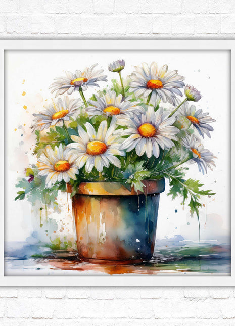 Daisies. Framed picture print. Pretty potted daisies. Framed wall art. A choice of frames and sizes, square.