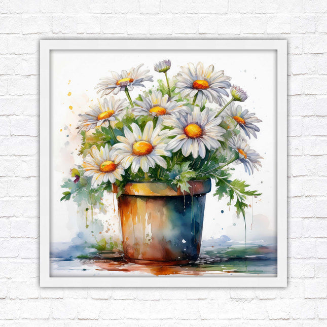 Daisies. Framed picture print. Pretty potted daisies. Framed wall art. A choice of frames and sizes, square.