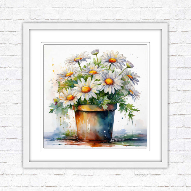 Daisies. Framed picture print. Pretty potted daisies. Framed wall art. A choice of frames and sizes, square.